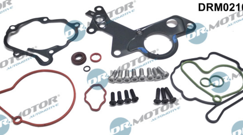 Set reparatie, pompa vacuum (Siste frana) (DRM0210L DRM) AUDI,FORD,SEAT,SKODA,VW