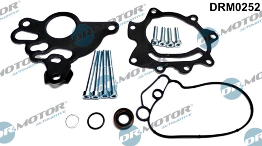 Set reparatie, pompa vacuum (Siste frana) (DRM0252 DRM) AUDI,SKODA,VW