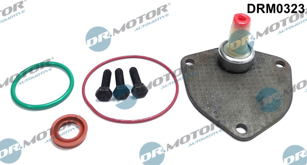 Set reparatie, pompa vacuum (Siste frana) (DRM0323 DRM) AUDI,VW