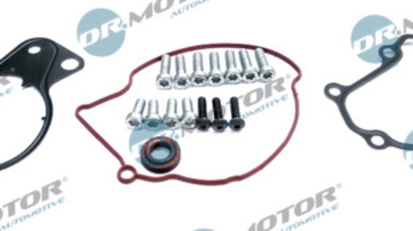 Set reparatie, pompa vacuum (Siste frana) (DRM0324 DRM) VW