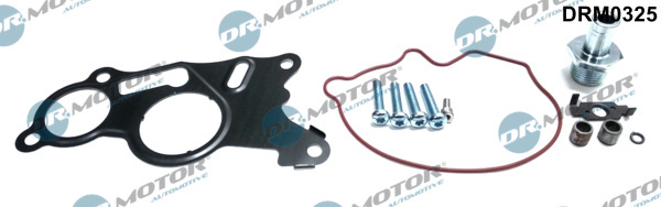 Set reparatie, pompa vacuum (Siste frana) (DRM0325 DRM) AUDI,SEAT,SKODA,VW