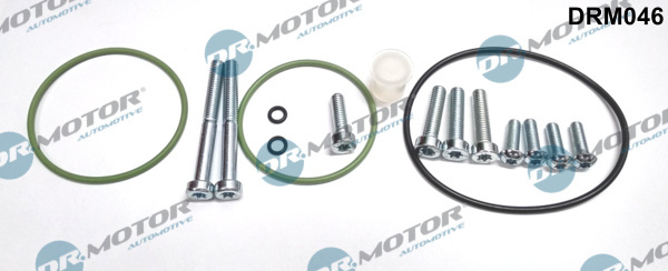 Set reparatie, pompa vacuum (Siste frana) (DRM046 DRM) AUDI