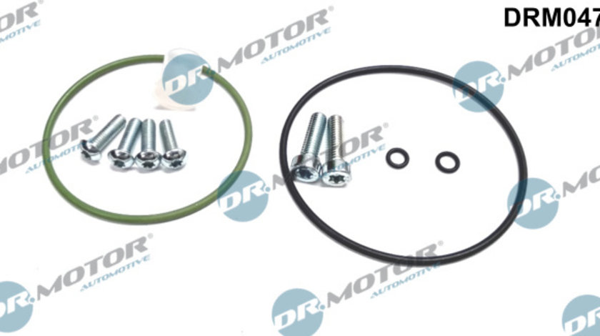 Set reparatie, pompa vacuum (Siste frana) (DRM047 DRM) AUDI,VW