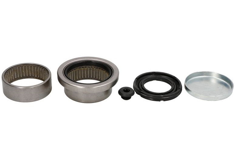 Set Reparatie Rulment Punte Spate Dreapta / Stanga Rein Hoch RH10-2020