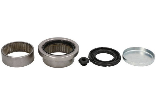 Set Reparatie Rulment Punte Spate Dreapta / Stanga Rein Hoch RH10-2020