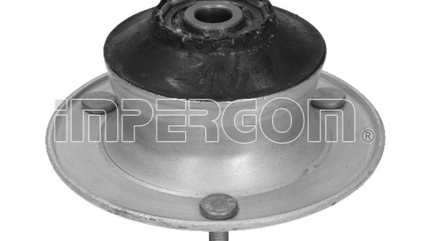 Set reparatie, rulment sarcina amortizor punte fata (35338 IMPERGOM) BMW