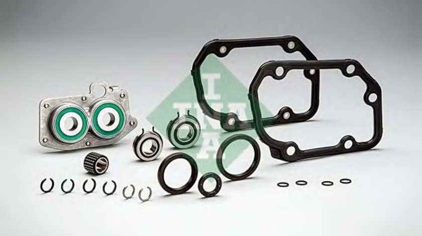 Set reparatie, transmisie manuala SKODA FABIA II (2006 - 2014) INA 462 0055 10 piesa NOUA