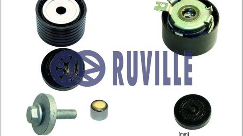 Set role, curea dintata (5551951 EVR) RENAULT