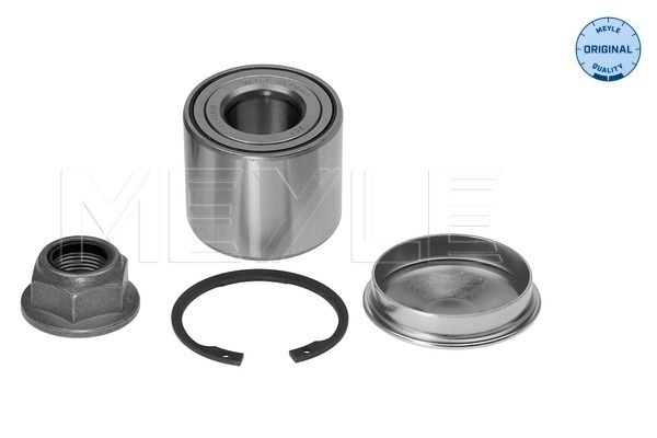 Set rulment roata Axa spate ambele parti (16147500004 MEYLE) RENAULT