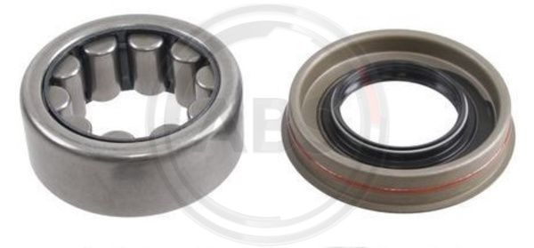 Set rulment roata puntea spate (201235 ABS) FORD