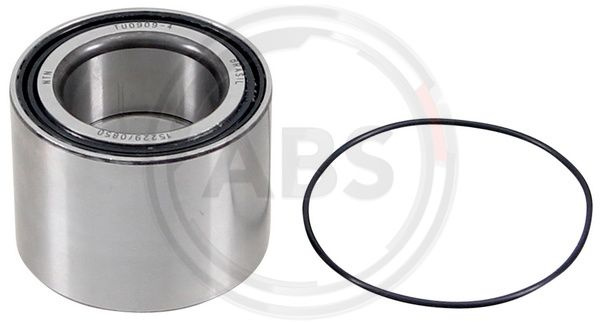 Set rulment roata puntea spate (201783 ABS) VW