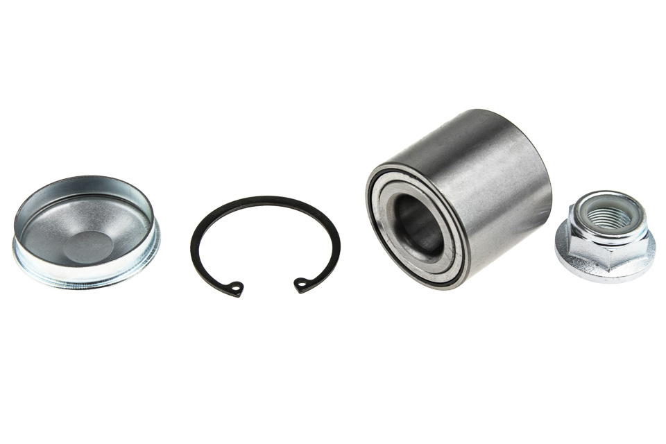 SET Rulment ROATA SPATE, RENAULT MEGANE II 2.0DCI 02-, SCENIC 03-