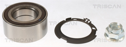 Set Rulment Roata Triscan Nissan 8530 10142