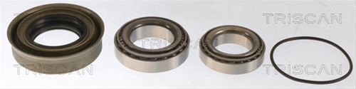 Set Rulment Roata Triscan Nissan 8530 14114