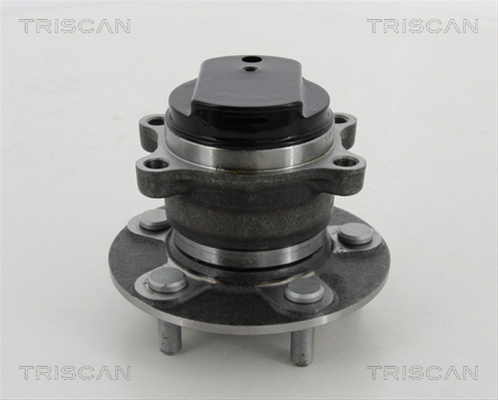 Set Rulment Roata Triscan Renault 8530 14258