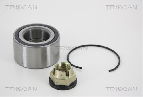 Set Rulment Roata Triscan Renault 8530 25120