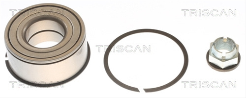 Set Rulment Roata Triscan Renault 8530 25123
