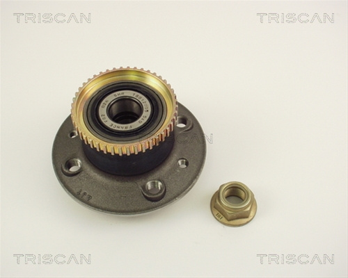 Set Rulment Roata Triscan Renault 8530 25236