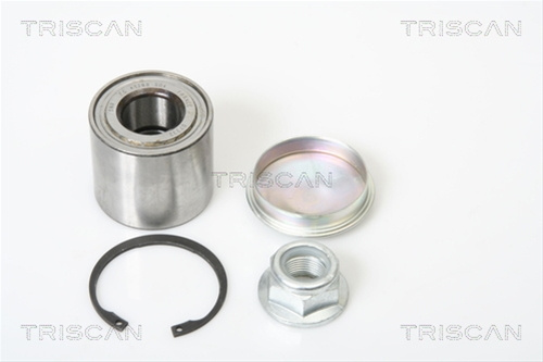 Set Rulment Roata Triscan Renault 8530 25252