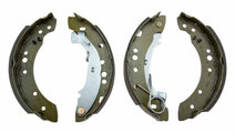 SET SABOTI FRANA, CITROEN C2 03-, C3 02-, C3 II 1....