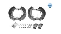 Set saboti frana Dodge RAM 4000 platou / sasiu (DH...