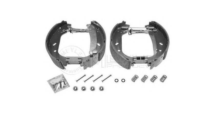 Set saboti frana Fiat ULYSSE (220) 1994-2002 #2 03013703142