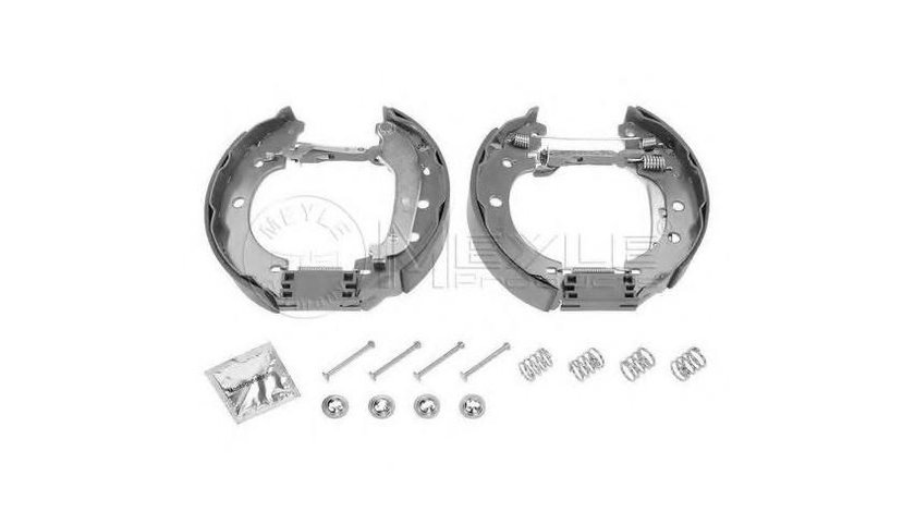 Set saboti frana Nissan KUBISTAR caroserie (X80) 2003-2016 #2 03013703502