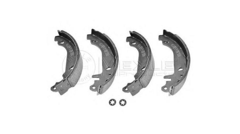 Set saboti frana Renault 19 Mk II Cabriolet (D53_, 853_) 1992-2001 #2 03013702092