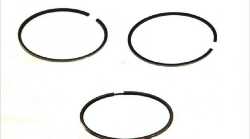 Set segmenti piston Audi AUDI 100 Avant (4A, C4) 1990-1994 03020N3