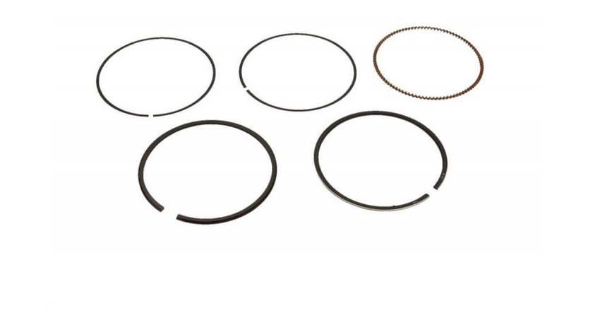 Set segmenti piston Audi AUDI A6 (4B2, C5) 1997-2005 #2 027107311A