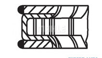 Set segmenti piston Citroen XSARA PICASSO (N68) 19...