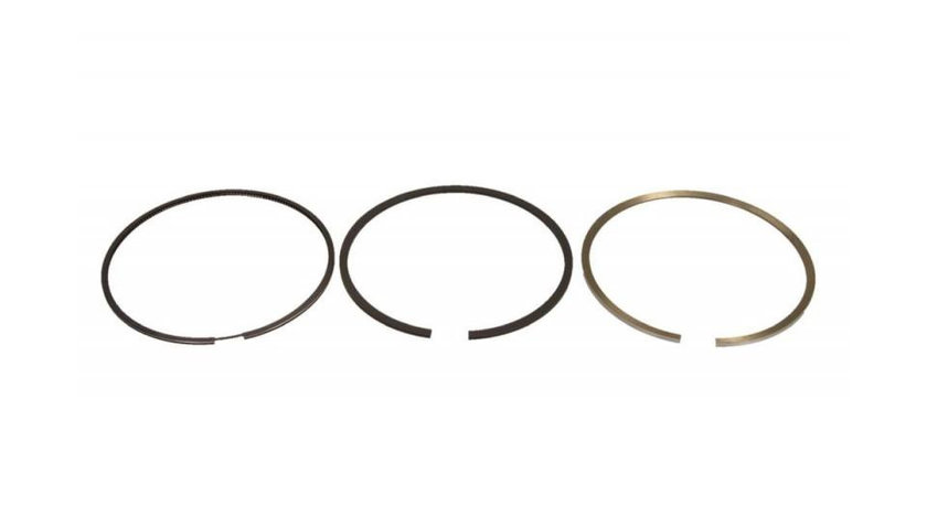 Set segmenti piston Iveco DAILY IV autobasculanta 2006-2011 #2 2995582