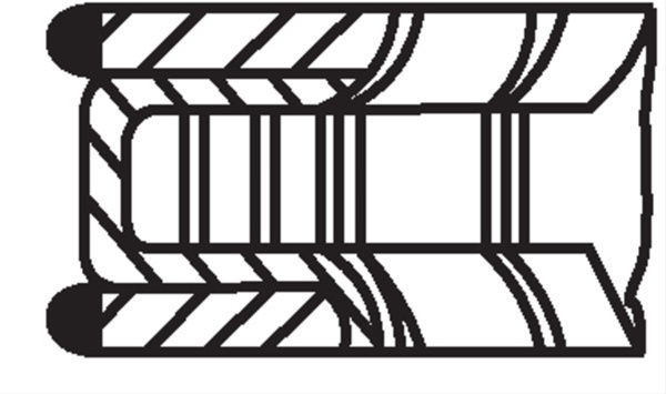 Set Segmenti Piston Mahle Original Renault 022 10 N0