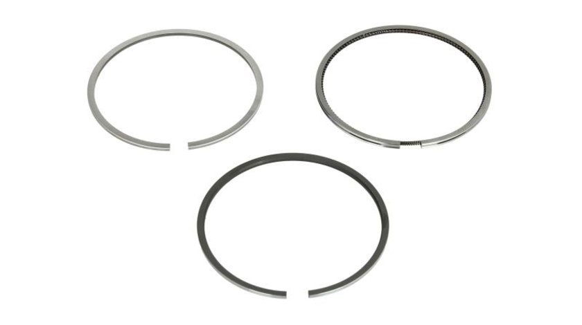 Set segmenti piston VW PASSAT B3/B4 (3A2, 35I) MAHLE 029 54 N0