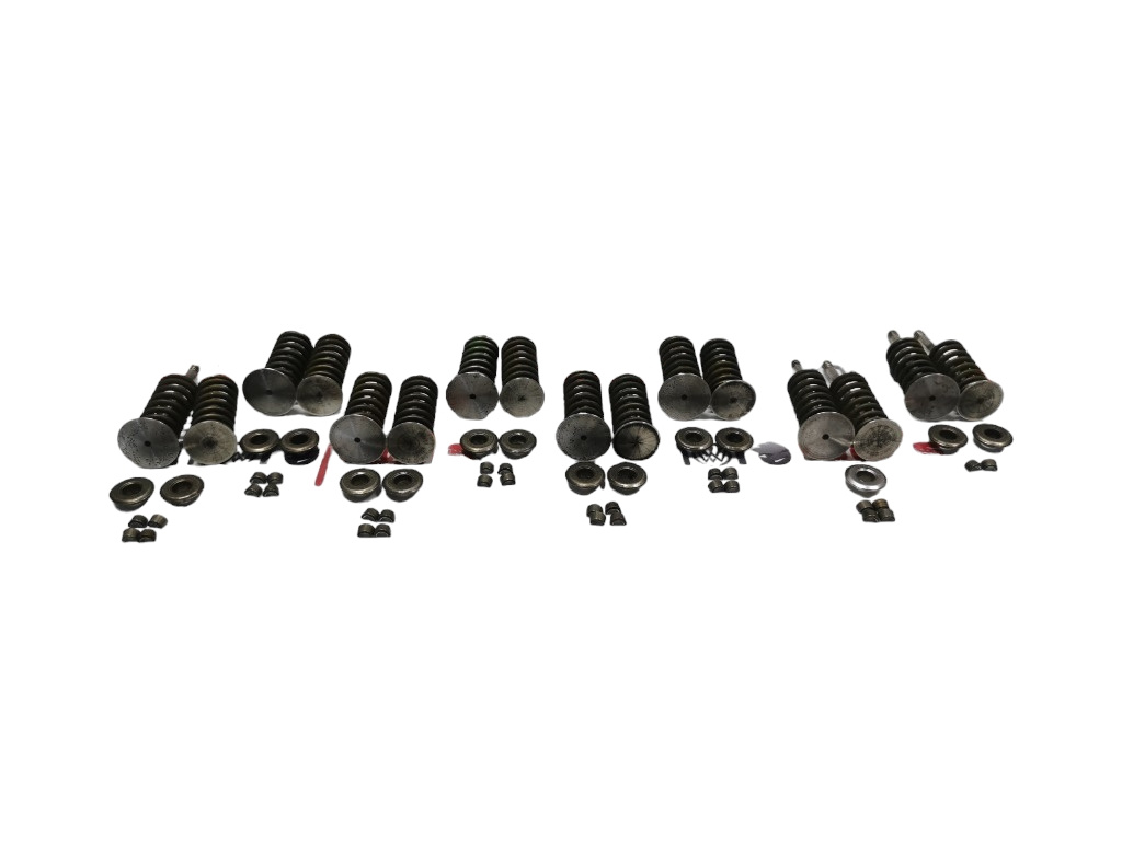 Set supape chiulasa Audi A3 (8P) Coupe 2004 2.0 TDI