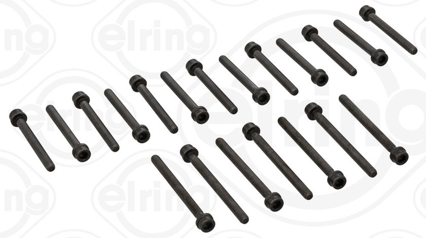 Set surub, chiulasa (057290 ELR) FORD,SEAT,VW