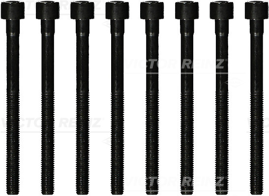 Set surub, chiulasa (141222101 VICTOR REINZ) DACIA,NISSAN,RENAULT,SMART