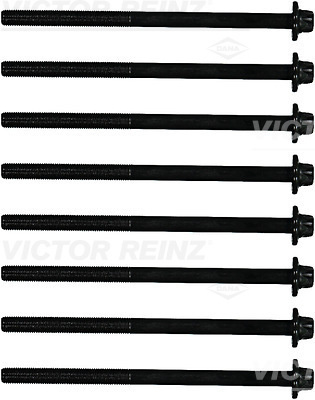 Set surub, chiulasa (141225201 VICTOR REINZ) BMW,MINI