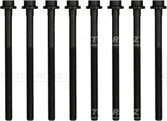 Set surub, chiulasa (141784201 REI) GEELY,LEVC,LYNK & CO,VOLVO,VOLVO ASIA