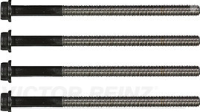 Set surub, chiulasa (143201902 VICTOR REINZ) FORD,FORD AUSTRALIA