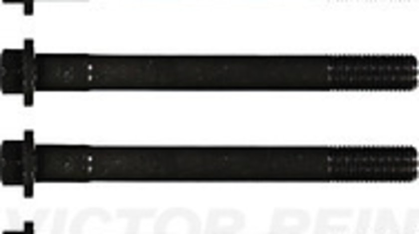 Set surub, chiulasa (143217901 REI) DAIHATSU,TOYOTA,VW