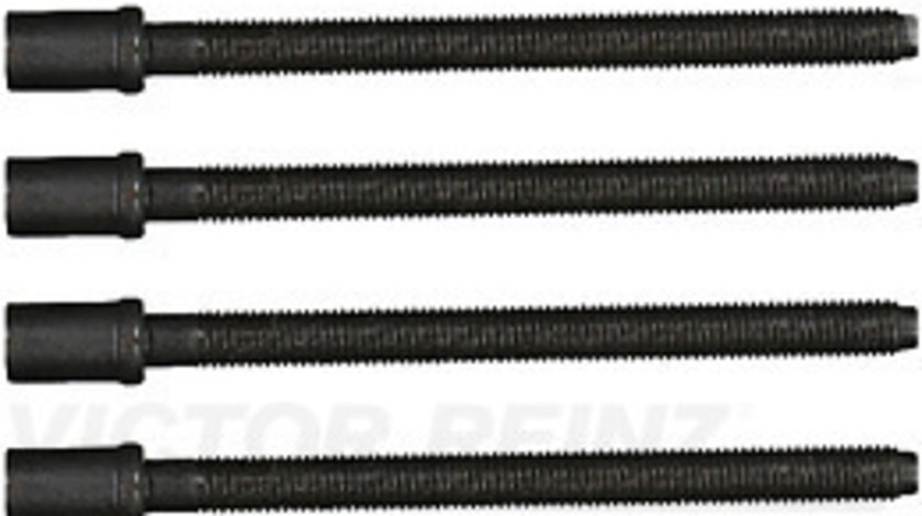 Set surub, chiulasa (143219501 REI) AUDI,CHRYSLER,DODGE,JEEP,MITSUBISHI,SEAT,SKODA,VW