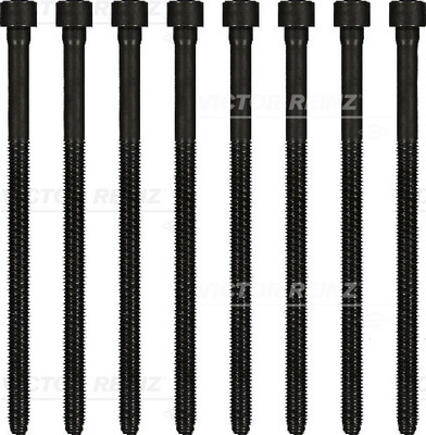 Set surub, chiulasa (143219801 REI) AUDI,AUDI (FAW),PORSCHE,VW,VW (SVW)