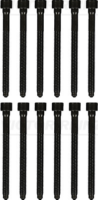 Set surub, chiulasa (143227602 REI) AUDI,VW