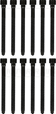 Set surub, chiulasa (143227602 REI) AUDI,VW