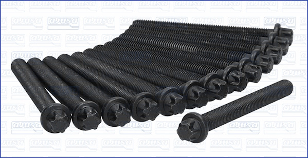 Set surub, chiulasa (81029600 AJUSA) BMW