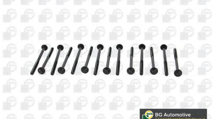 Set surub, chiulasa BMW Seria 3 (F30, F35, F80) (2011 - 2016) BGA BK2305 piesa NOUA