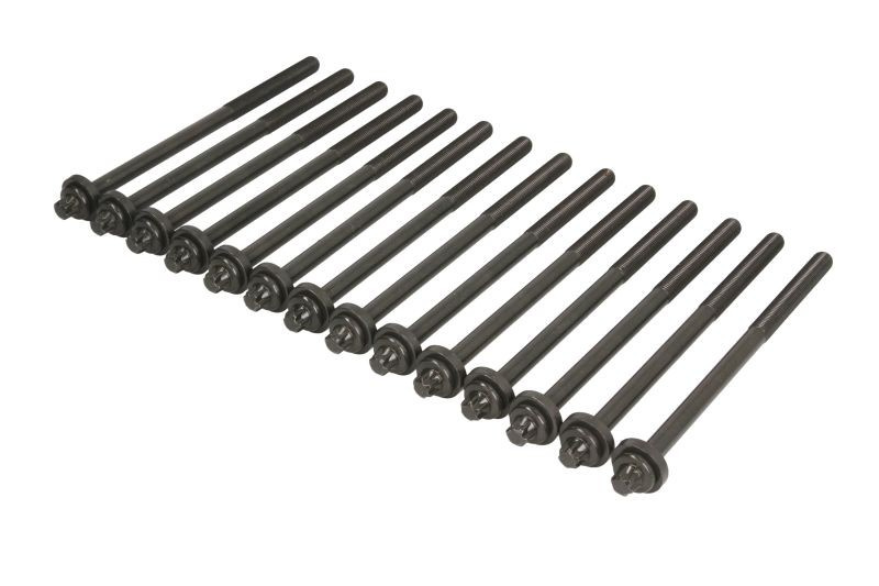 Set surub, chiulasa BMW X5 (E70) (2007 - 2013) ELRING 234.640 piesa NOUA