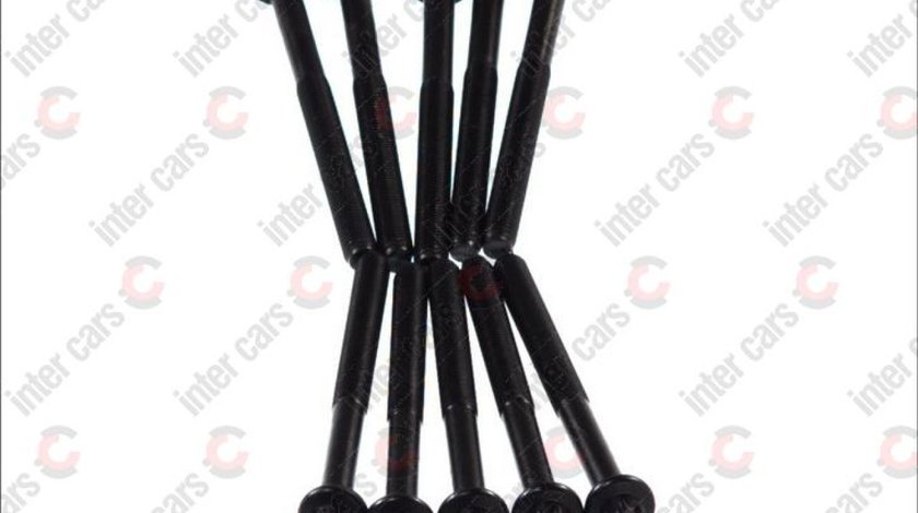 Set surub chiulasa CITROËN XSARA Break N2 Producator PAYEN HBS259