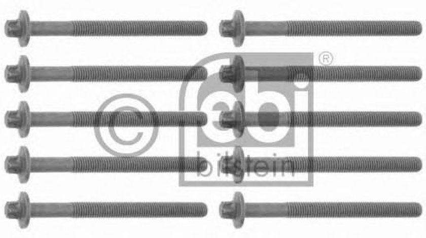 Set surub, chiulasa DACIA DUSTER (2010 - 2016) FEBI BILSTEIN 24099 piesa NOUA